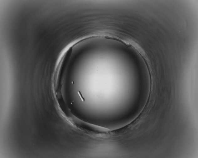 X0000086730960200704201643