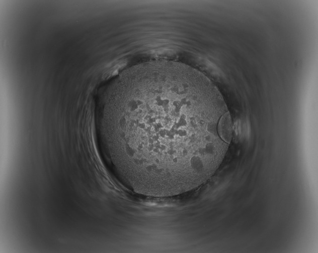 X0000086730963200704201643