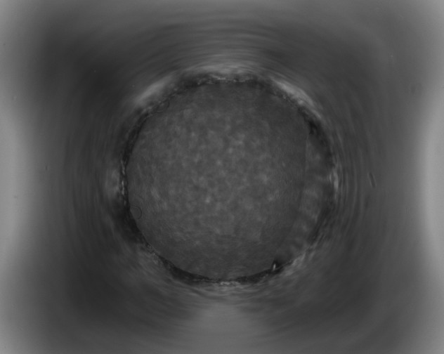 X0000086730966200704201643