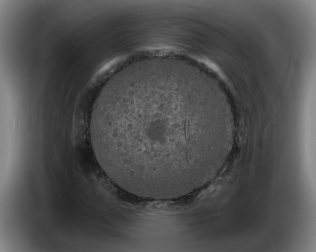 X0000086730967200704201643