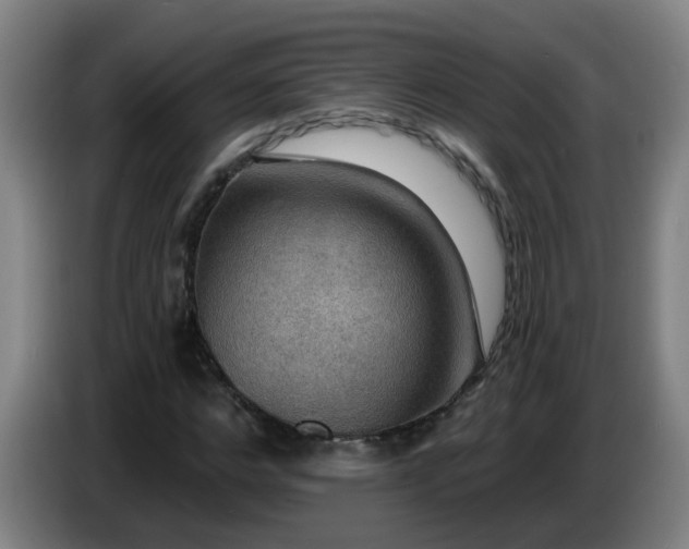 X0000086730968200704201643