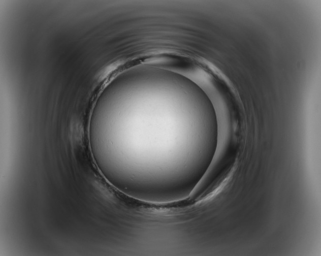 X0000086730969200704201643