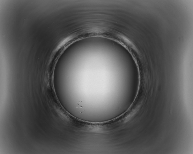 X0000086730970200704201643