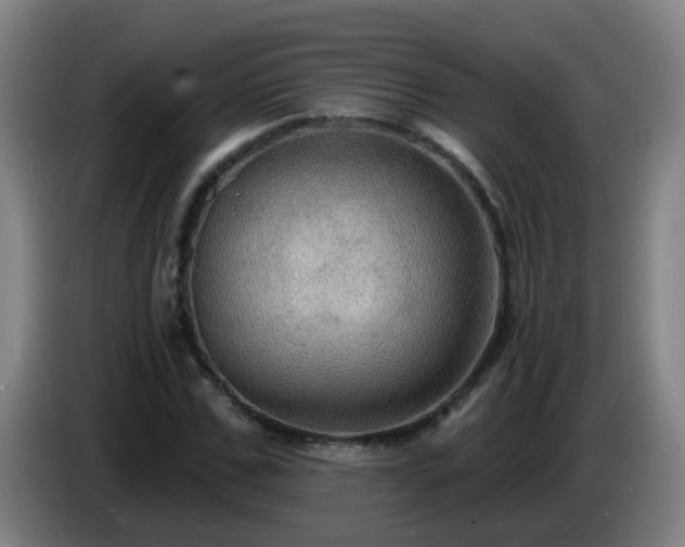 X0000086730971200704201643