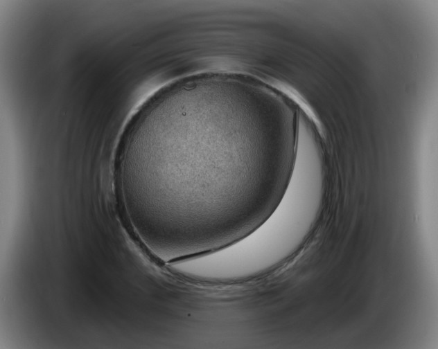 X0000086730972200704201643