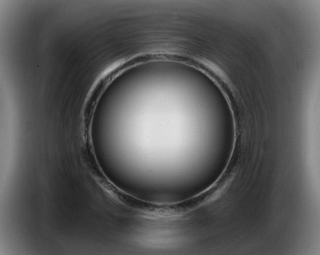 X0000086730974200704201643