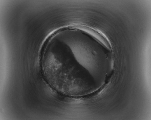 X0000086730975200704201643