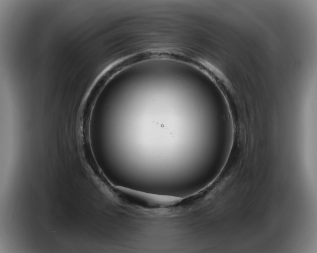 X0000086730976200704201643