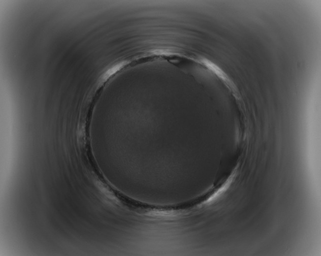 X0000086730977200704201643