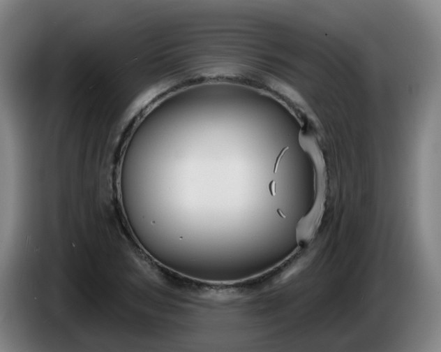 X0000086730978200704201643