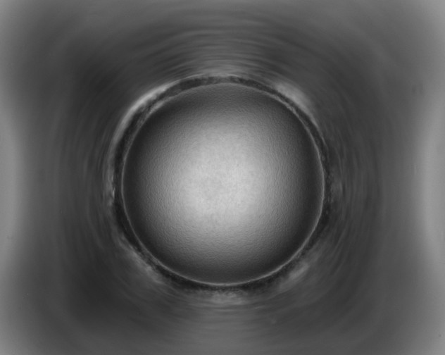 X0000086730979200704201643