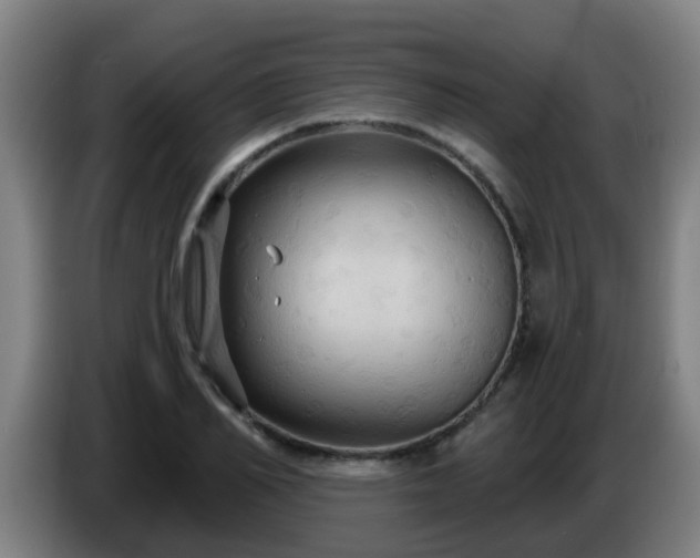 X0000086730982200704201643