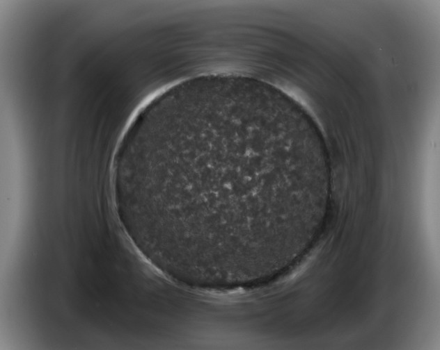 X0000086730983200704201642