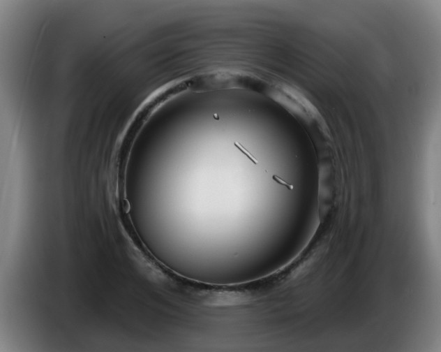 X0000086730984200704201642