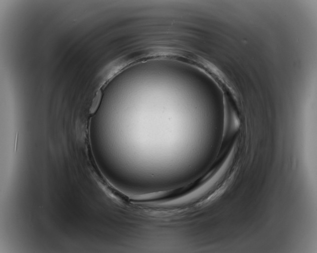 X0000086730985200704201642