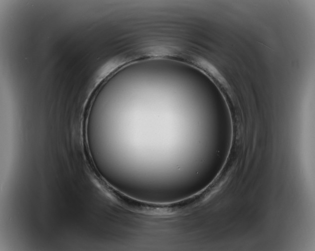 X0000086730986200704201642