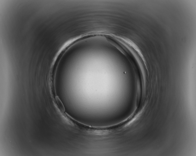 X0000086730989200704201642