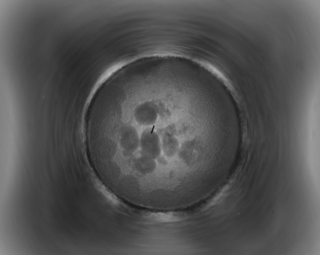 X0000086730990200704201642