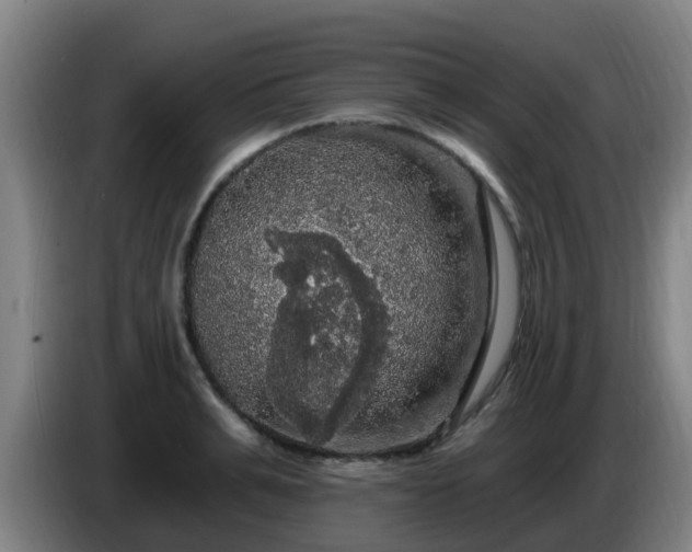 X0000086730991200704201642