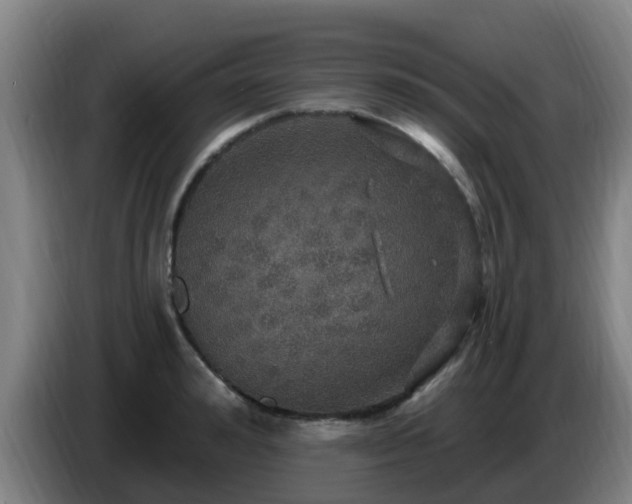 X0000086730992200704201642