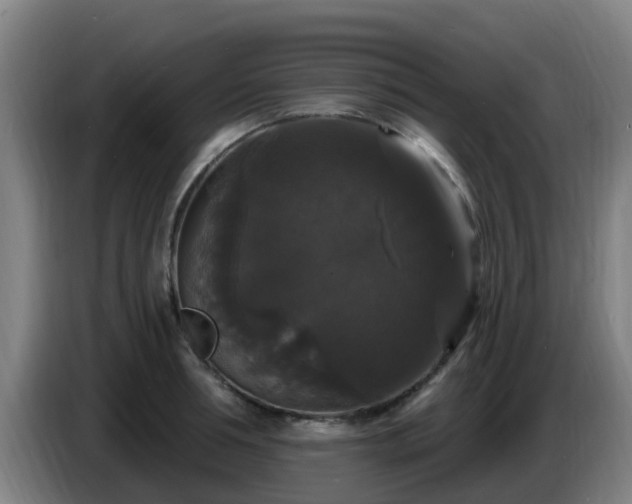 X0000086730994200704201642