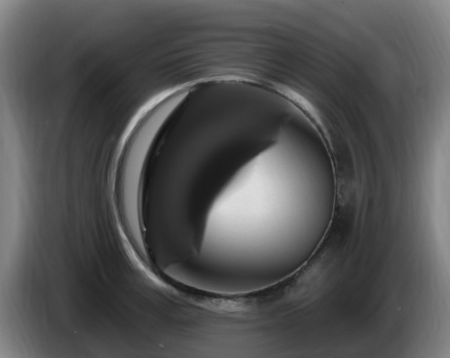 X0000086730995200704201642