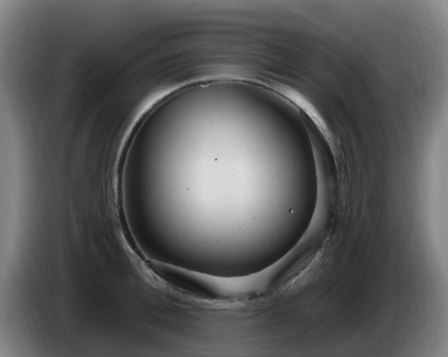 X0000086730996200704201642