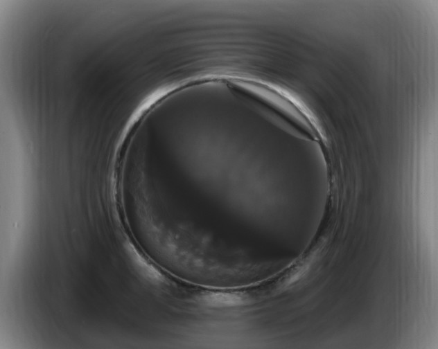 X0000086730998200704201642