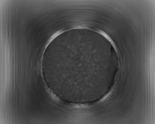 X0000086731002200704201642