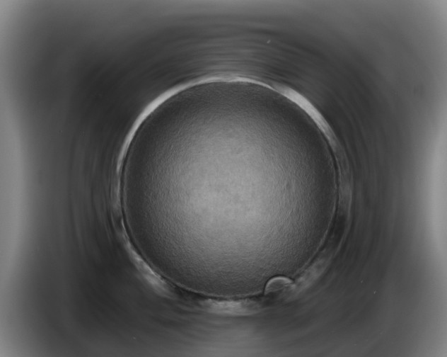 X0000086731004200704201642