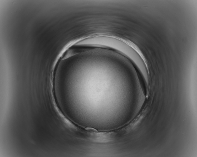 X0000086731005200704201642