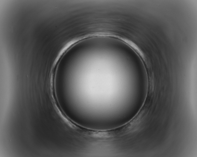 X0000086731006200704201642