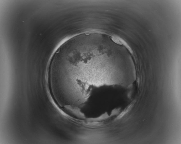 X0000086731007200704201642