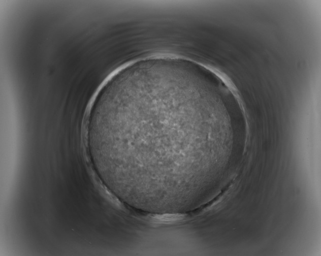 X0000086731008200704201642