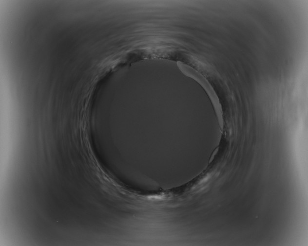 X0000086731010200704201642