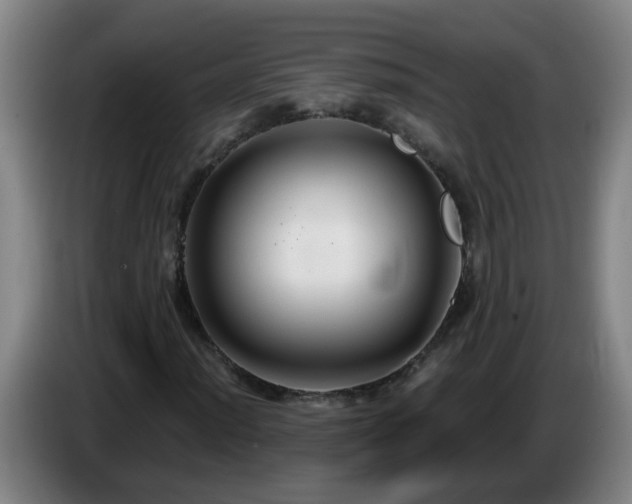 X0000086731012200704201642