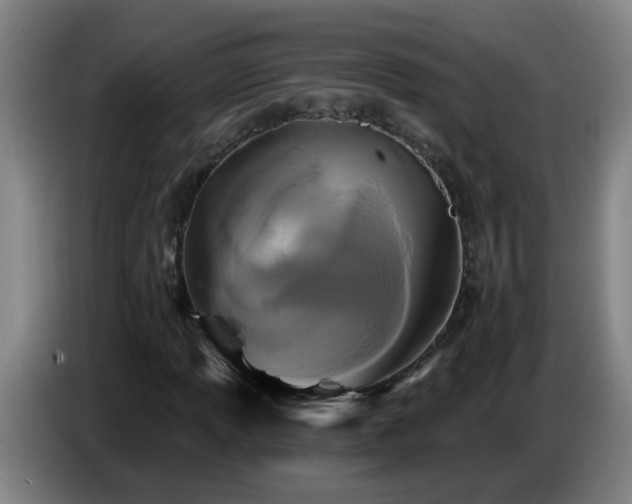 X0000086731013200704201642