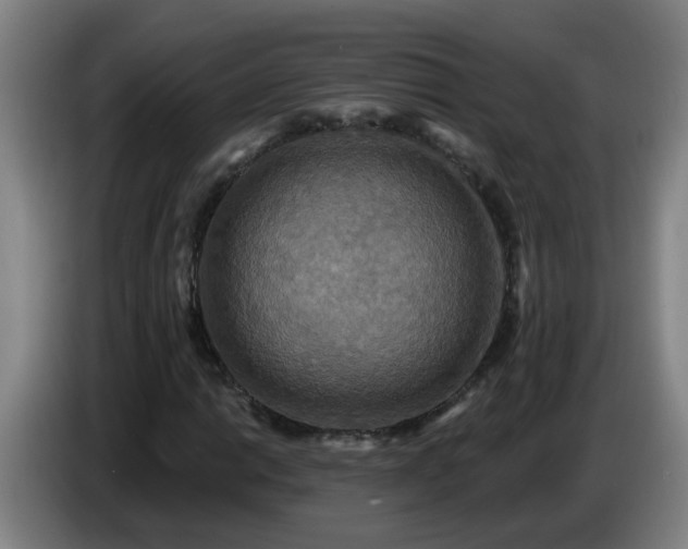 X0000086731014200704201642