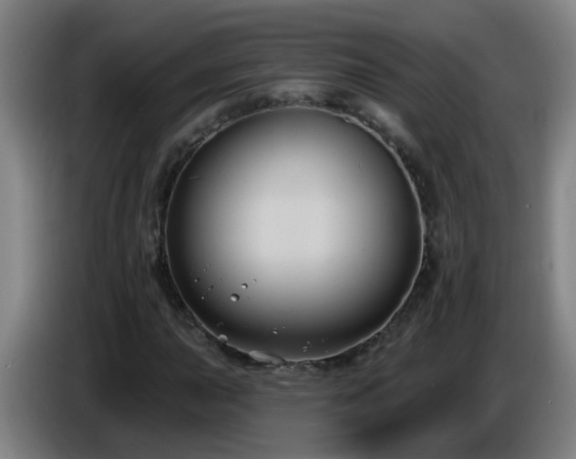 X0000086731015200704201642