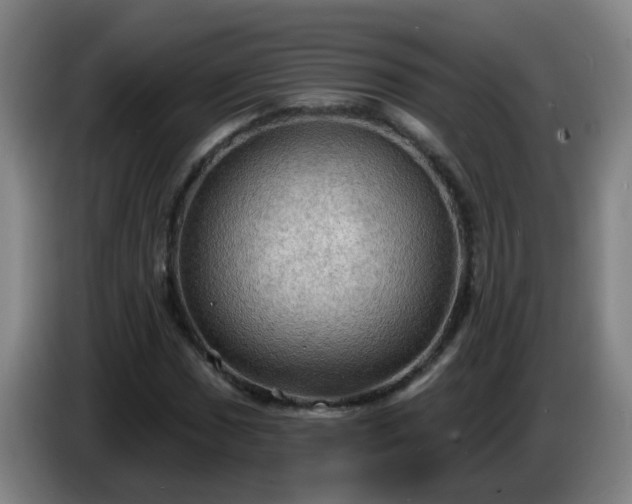 X0000086731017200704201642