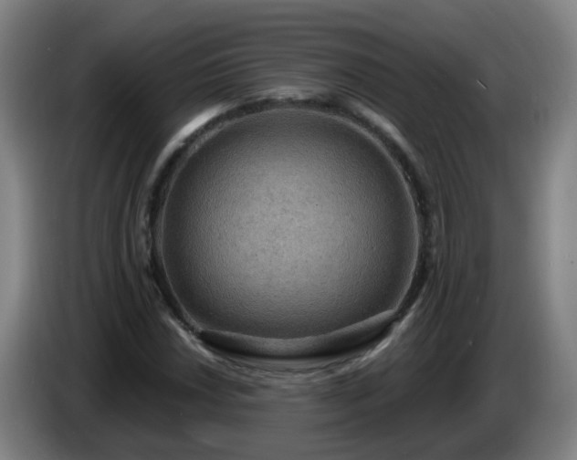 X0000086731018200704201642