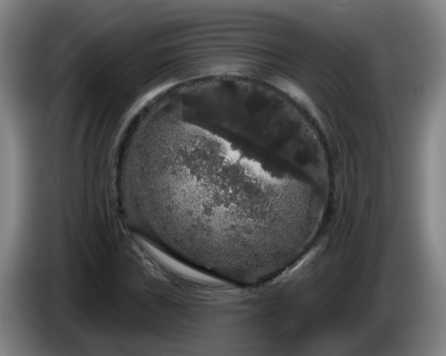 X0000086731019200704201642