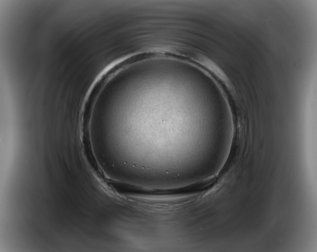 X0000086731020200704201642