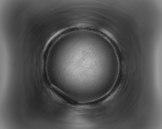 X0000086731021200704201642