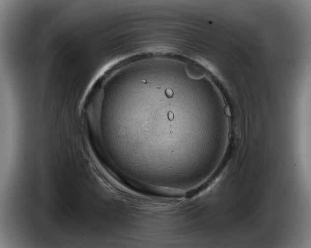 X0000086731022200704201642