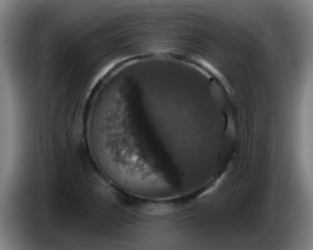 X0000086731023200704201642