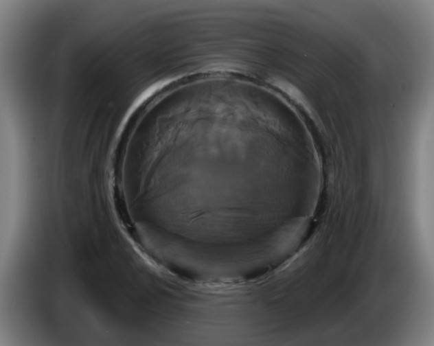 X0000086731024200704201642