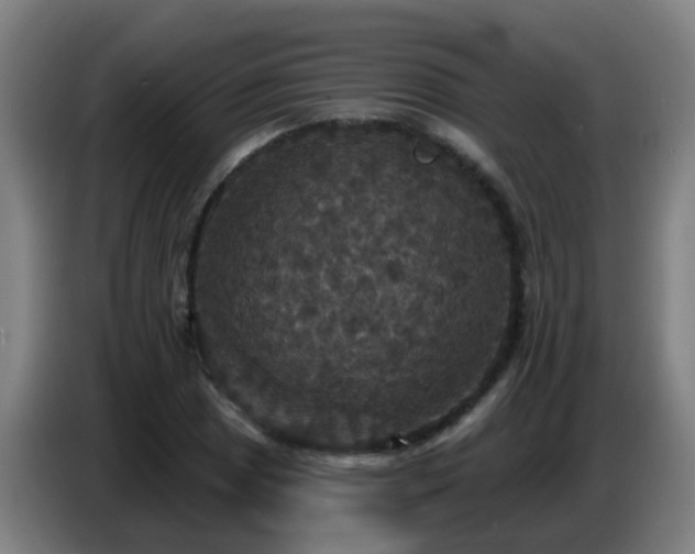 X0000086731025200704201642