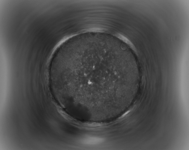 X0000086731027200704201642