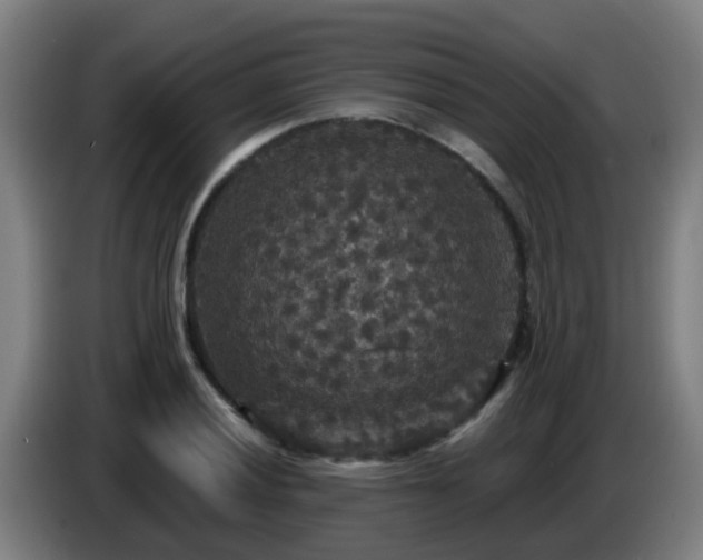 X0000086731028200704201642